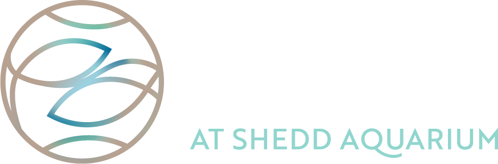 Azure at Shedd Aquarium
